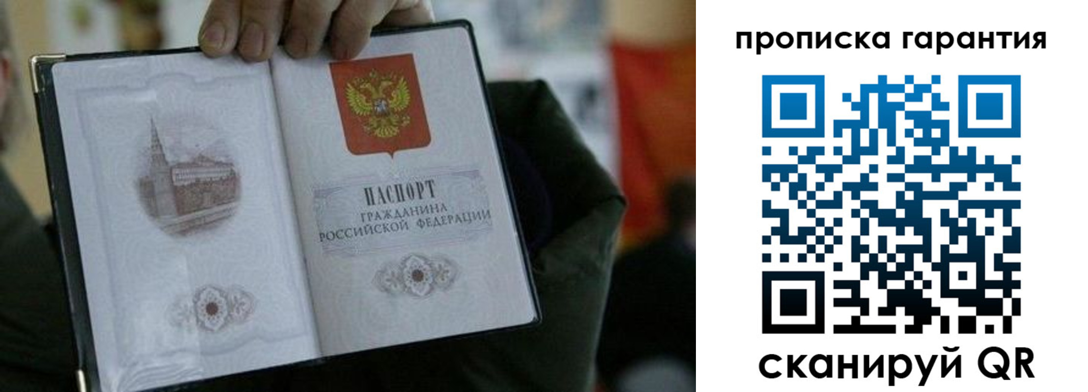 найти адрес прописки в Курске